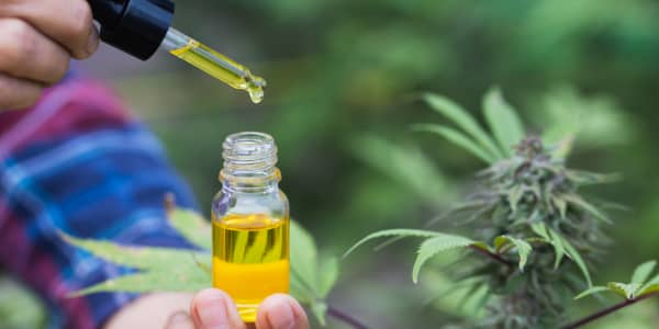 how long do the effects of cbd last